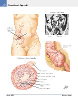 Frank H. Netter, MD - Atlas of Human Anatomy (6th ed ) 2014, page 311